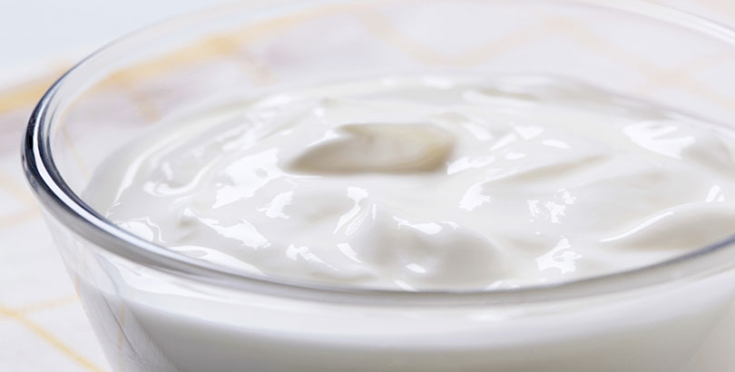 Plain Yogurt 625mg