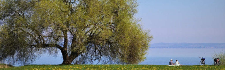 Unique Ideas for Your Next Picnic