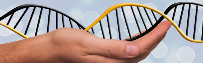 What the Hell is a Telomere and Why Should You Care?