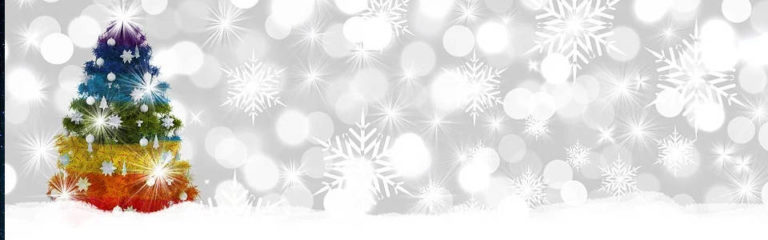 Don’t Forget the Seniors in Your Life this Holiday Season