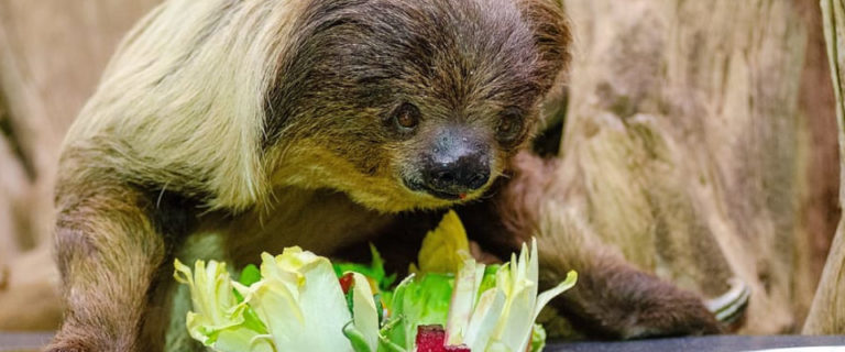 Take it Slow: The Benefits of Slow Eating