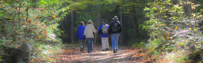 The Unexpected Benefits of Walking