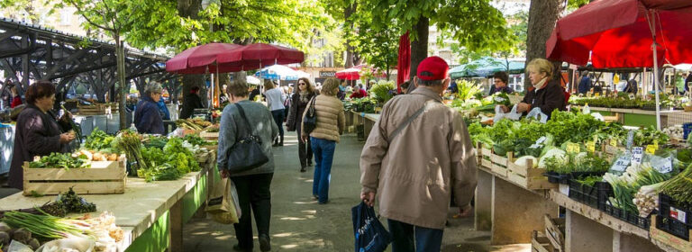 Best Produce Picks for August