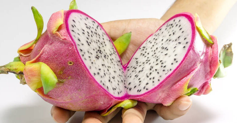 What is Dragon Fruit?