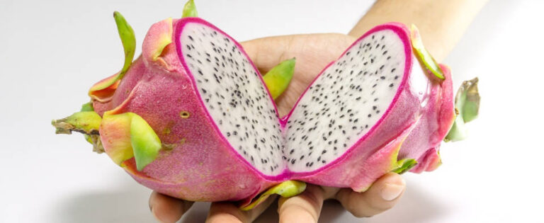 What is Dragon Fruit?