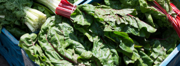 The Health Benefits of Eating Green Foods