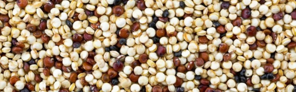 Is Quinoa a Seed or a Grain?